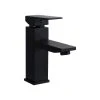 Flairwood Decor The Penelope Square Modern Faucet