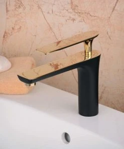 Fontana Showers Bitonto Gold Single Handle Long Reach Spout Black Painting Bathroom Faucet -Moen-shop 8b4161e30be02000 3036 w800 h800 b0 p0